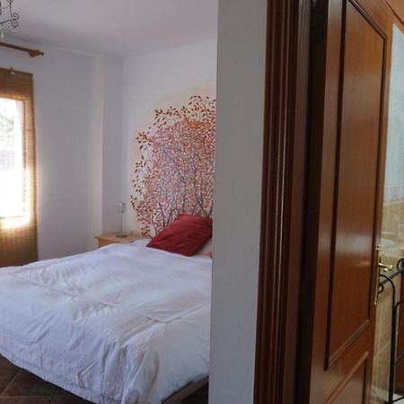 Casa Colores Tenerife Guesthouse Candelaria Extérieur photo